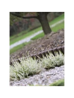 GARDEN PALISADA GARDEN RIM 250CM IPBO bronz detské