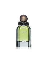 Pánske parfémy Perfun Rue Broca Hooked Men 100 ml