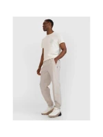 Pánske nohavice na voľný čas 4F 4FWSS25TTROM1001-83S