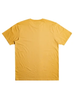 Pánske tričko Quiksilver Scholarship