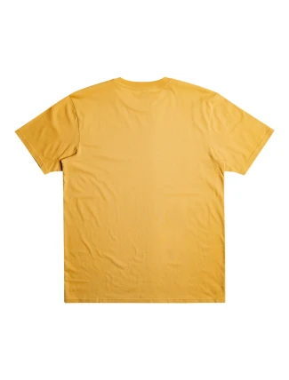 Pánske tričko Quiksilver Scholarship