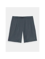 Pánske pravidelné rýchloschnúce tréningové šortky 4F 4FWAW24TFSHM697-22M