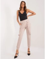 Tepláky RV DR 9629.82 béžová Tepláky RV DR 9629.82 béžová