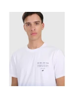 Pánske tričko s potlačou 4F 4FRAW25TTSHM3226-31S