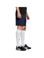 Pánske šortky Puma Team Goal navy blue 705752 06