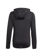 Dievčenská mikina s kapucňou Designed 2 Move Jr GN1462 - Adidas