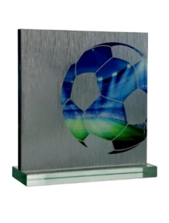 Sklenená trofej s puzdrom