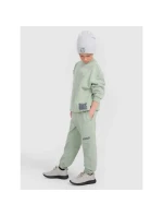 Mikina 4F JUNIOR 4FJRAW25TSWSM2448-44S