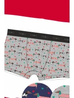 PÁNSKE BOXERKY VALENTINE