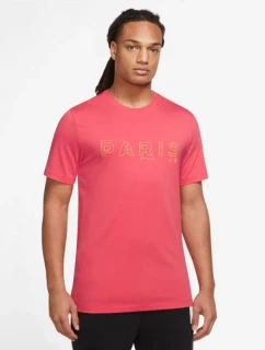 Pánske PSG Jordan M DV0634 648 - Nike