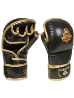 Tréningové rukavice MMA M - Aureos - Valor Series