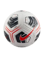 Lopta Nike Academy Plus FZ2979-100
