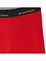 Pánske boxerky 4F M080 2-pack multicolor 4FWMM00UBXSM080 90S