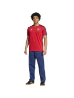Adidas Arsenal London DNA Tee M IT4104 tričko muži