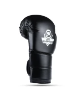 Boxerské rukavice 10oz - Eclipse - Origin Series Boxerské rukavice 10oz - Eclipse - Origin Series
