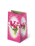 Taška Peacock T-7L Sada 90 tulipánov A'10