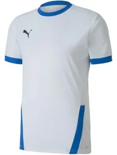 Puma teamGOAL 23 Jersey M 704171 12 pánske dresy