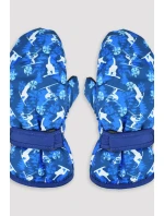 LYŽIARSKE RUKAVICE RN046 LYŽIARSKE RUKAVICE RN046