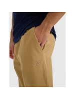 Pánske tepláky typu jogger 4F 4FRMM00TTROM1627-83S Pánske tepláky typu jogger 4F 4FRMM00TTROM1627-83S