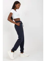 Teplákové nohavice model 169726 BFG Teplákové nohavice model 169726 BFG