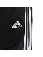 Adidas Tiro 19 Pes Pant Junior D95925 Adidas Tiro 19 Pes Pant Junior D95925