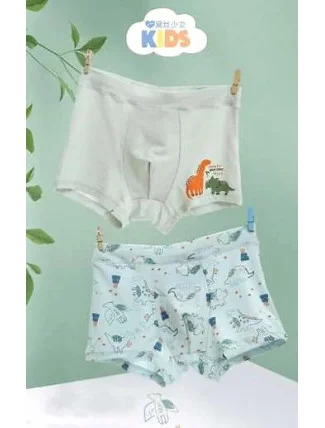 Chlapčenské boxerky 5002 A'2 kombinované zelené - DC Polo Chlapčenské boxerky 5002 A'2 kombinované zelené - DC Polo