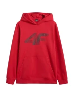 Mikina 4F M 4FWMM00TSWSM1766 062S men