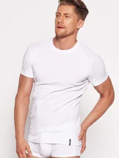 Pánsky nátelník 1495