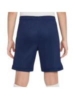 Šortky Nike Dri Fit Academy 25 Jr FZ9784 410