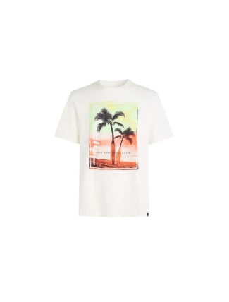 O'Neill Jack Neon T-Shirt M 92800613598 O'Neill Jack Neon T-Shirt M 92800613598