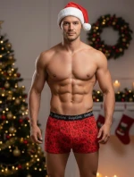 Boxerky C+3 art.VBE-740 Vianočné M-2XL