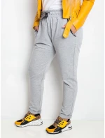 Tepláky RV DR 4765.52 sivá