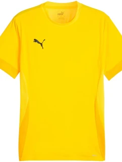 Puma teamGoal Matchday Jersey M 705747 07 muži