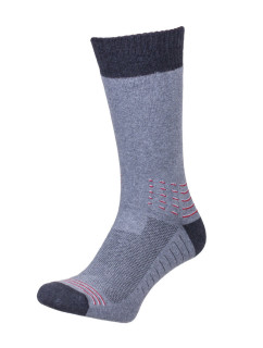 Pánske ponožky Thermo-silver