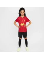 Tričko Nike Liverpool FC Academy Pro SS Top Jr FQ0013-688 Tričko Nike Liverpool FC Academy Pro SS Top Jr FQ0013-688