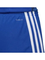 Pánske šortky Tastigo 19 M DP3682 - Adidas
