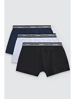 PÁNSKE BOXERKY 3PACK 20440 PÁNSKE BOXERKY 3PACK 20440