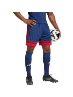 Šortky adidas Squadra 25 M JH3408