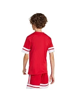 Tričko adidas Squadra 25 Jr JJ0051