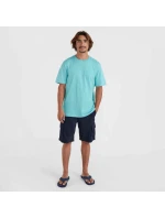 Šortky O'Neill Essentials Chino M 92800613369