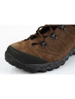 Pánske trekové topánky Aku Coldai GTX