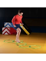 Koordinačná sieť HMS SKR06