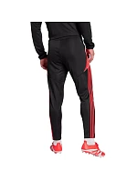 Nohavice adidas Tiro 24 Slim Training M JP2489