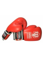 Boxerské rukavice MASTERS RBT-A (ZMENA CENY)