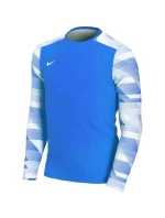 Detská brankárska mikina Dry Park IV JSY LS JR CJ6072-463 - Nike