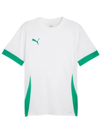 Pánsky dres Puma teamGoal Matchday Jersey white and green 705747 15 muži Pánsky dres Puma teamGoal Matchday Jersey white and green 705747 15 muži