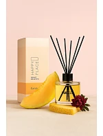 Melón 120 ml - vôňa do domácnosti Melón 120 ml - vôňa do domácnosti