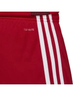 Pánske šortky Tastigo 19 DP3681 - Adidas