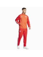 Pánska bunda adidas FC Bayern Pro M IN6314