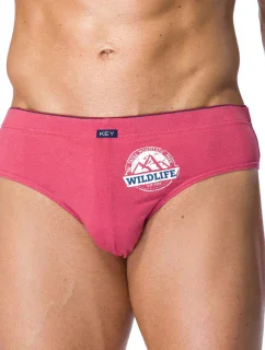 Pánske slipy MPP 716 A21